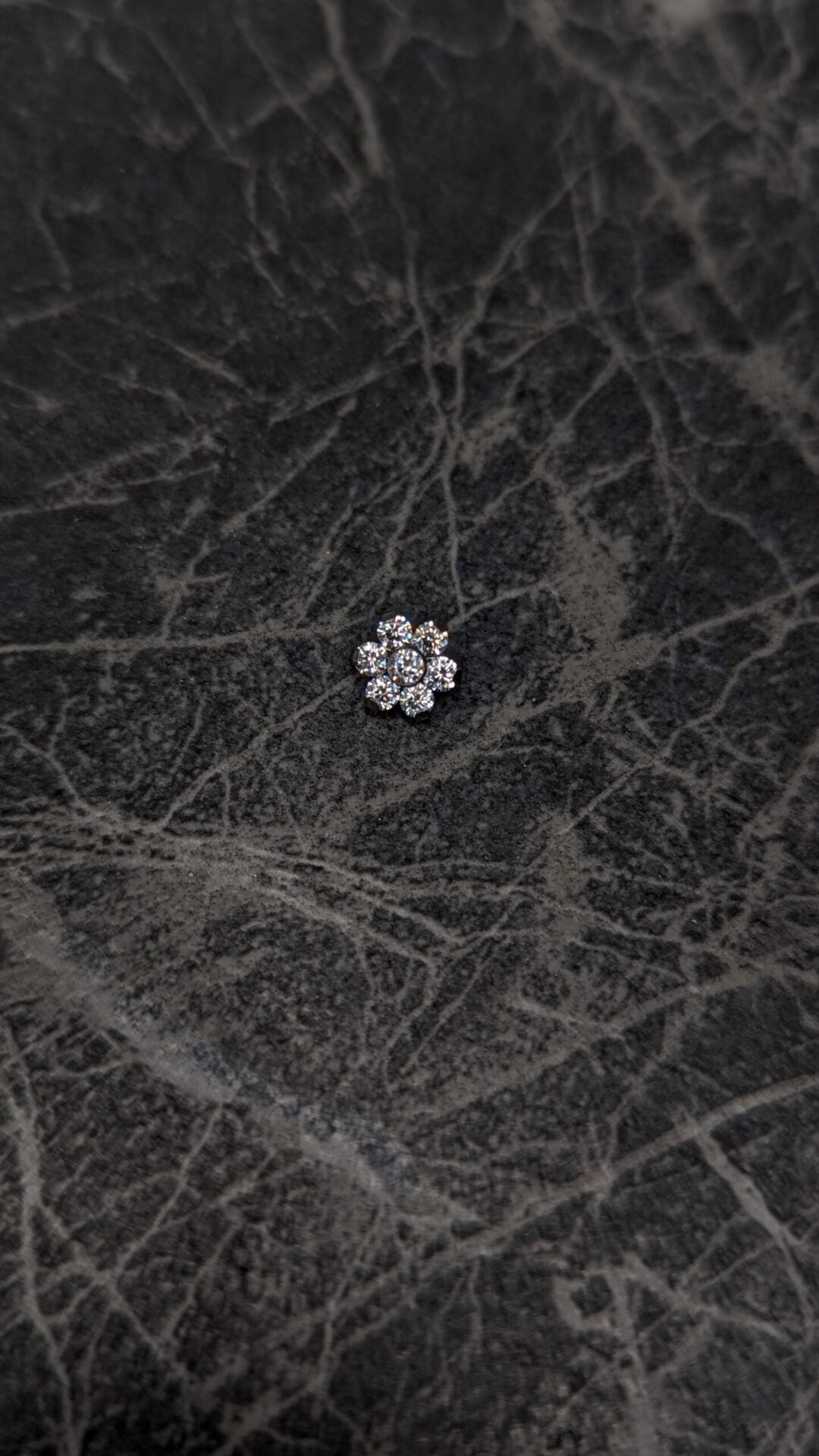 Shiny daisy - 1,6mm oro image