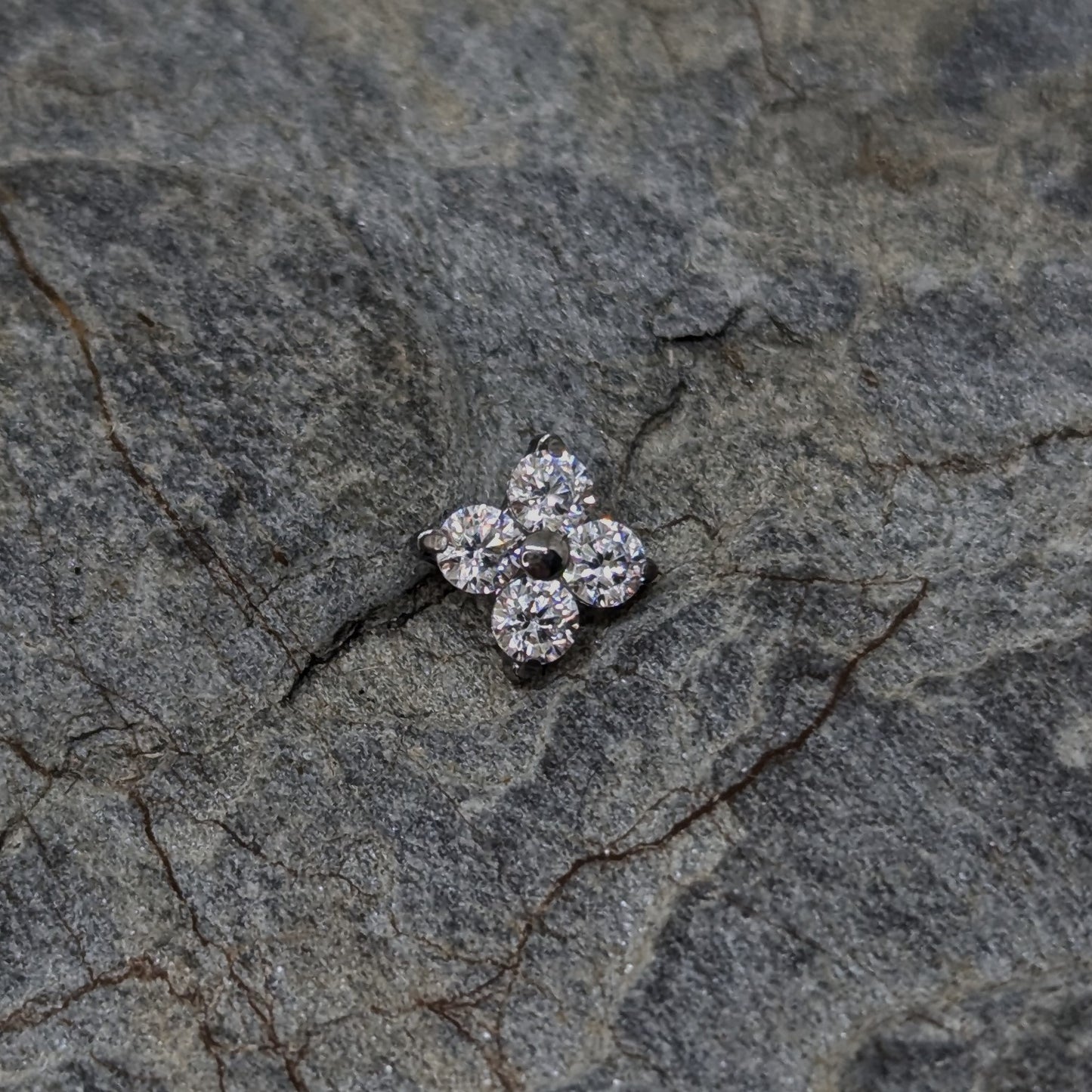 Shiny clover image 1