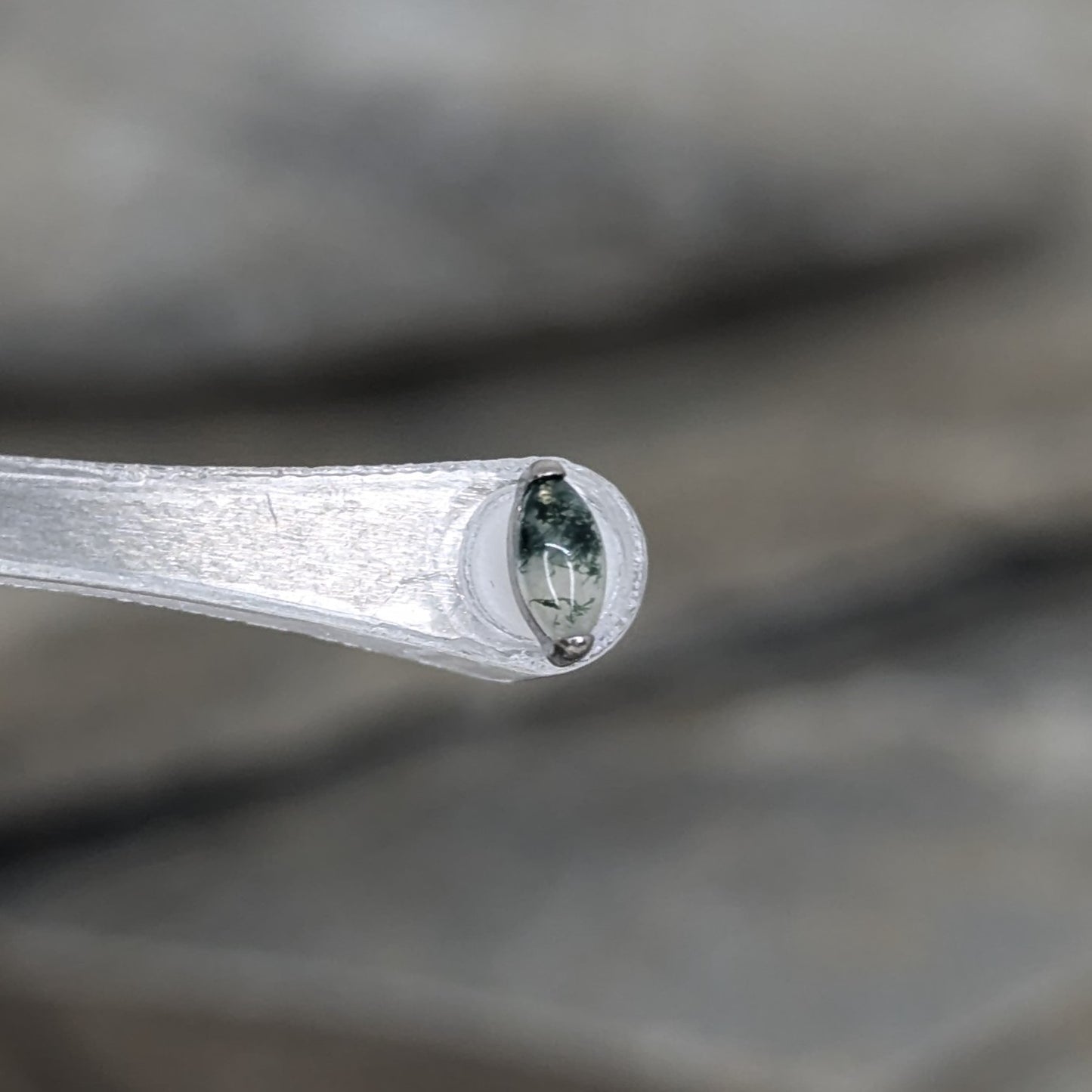Moss Agate single marquise image 1