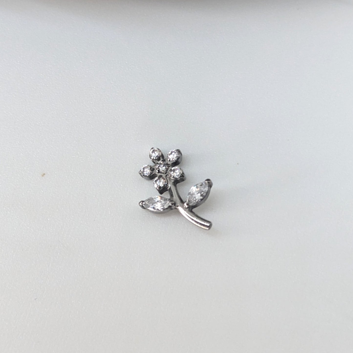 Daisy image 1