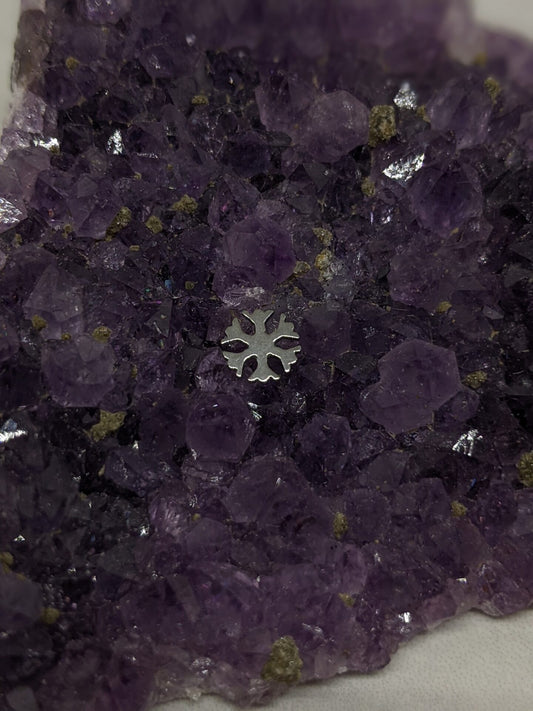 Terminale Fiocco di neve image 0