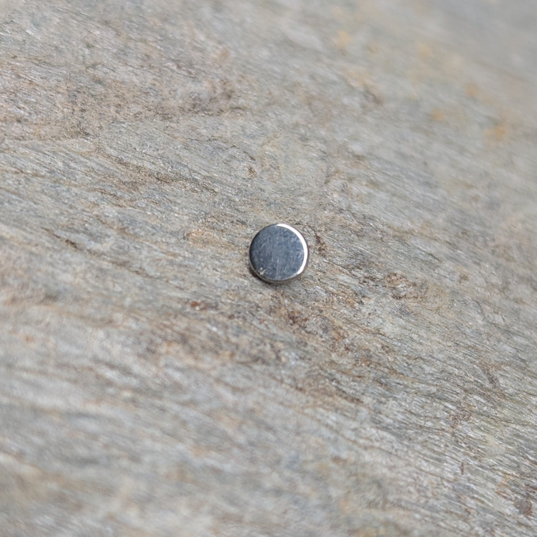 Plain disk image 2