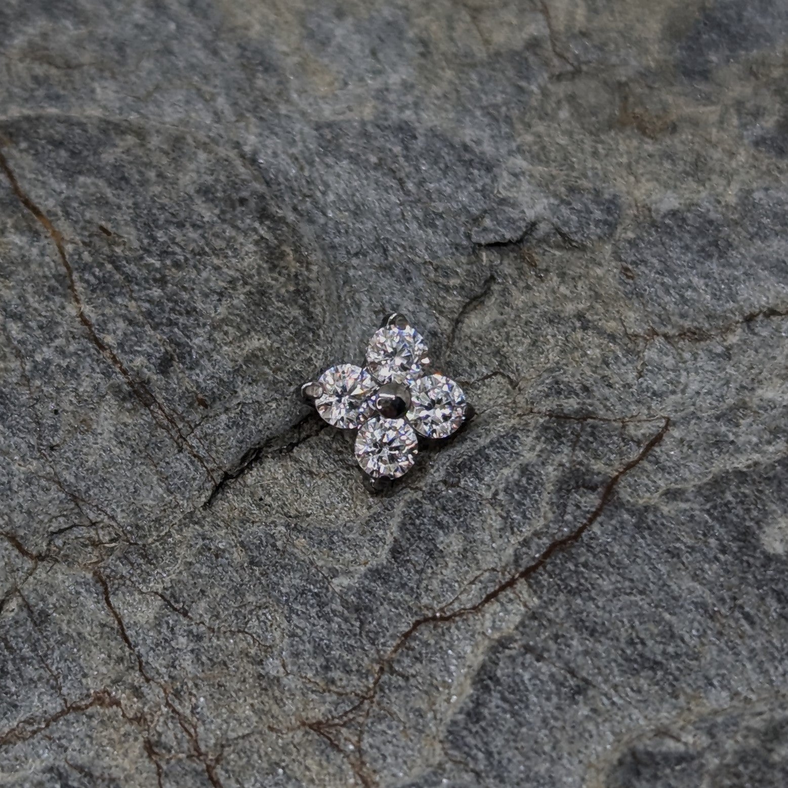 Shiny clover image 1