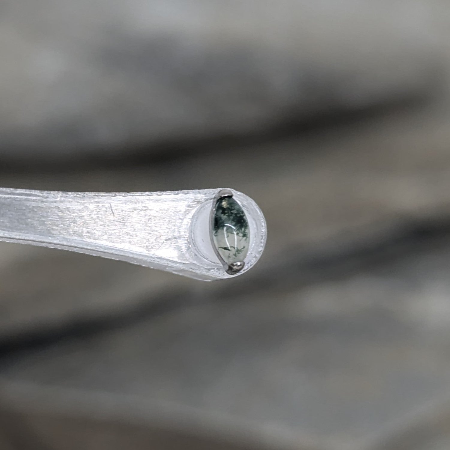 Moss Agate single marquise image 1