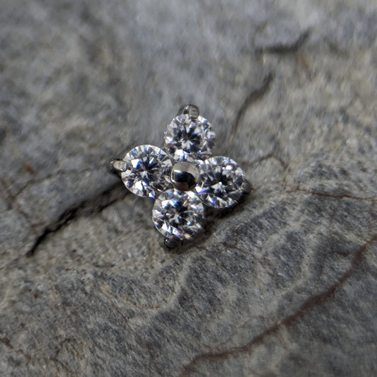 Shiny clover image 0
