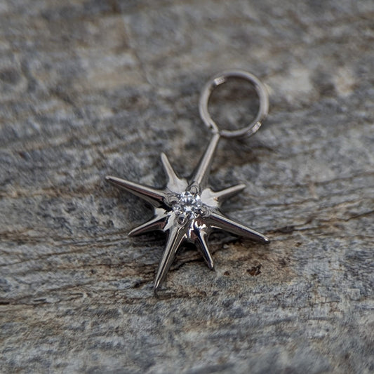 Shiny star Charm image 0