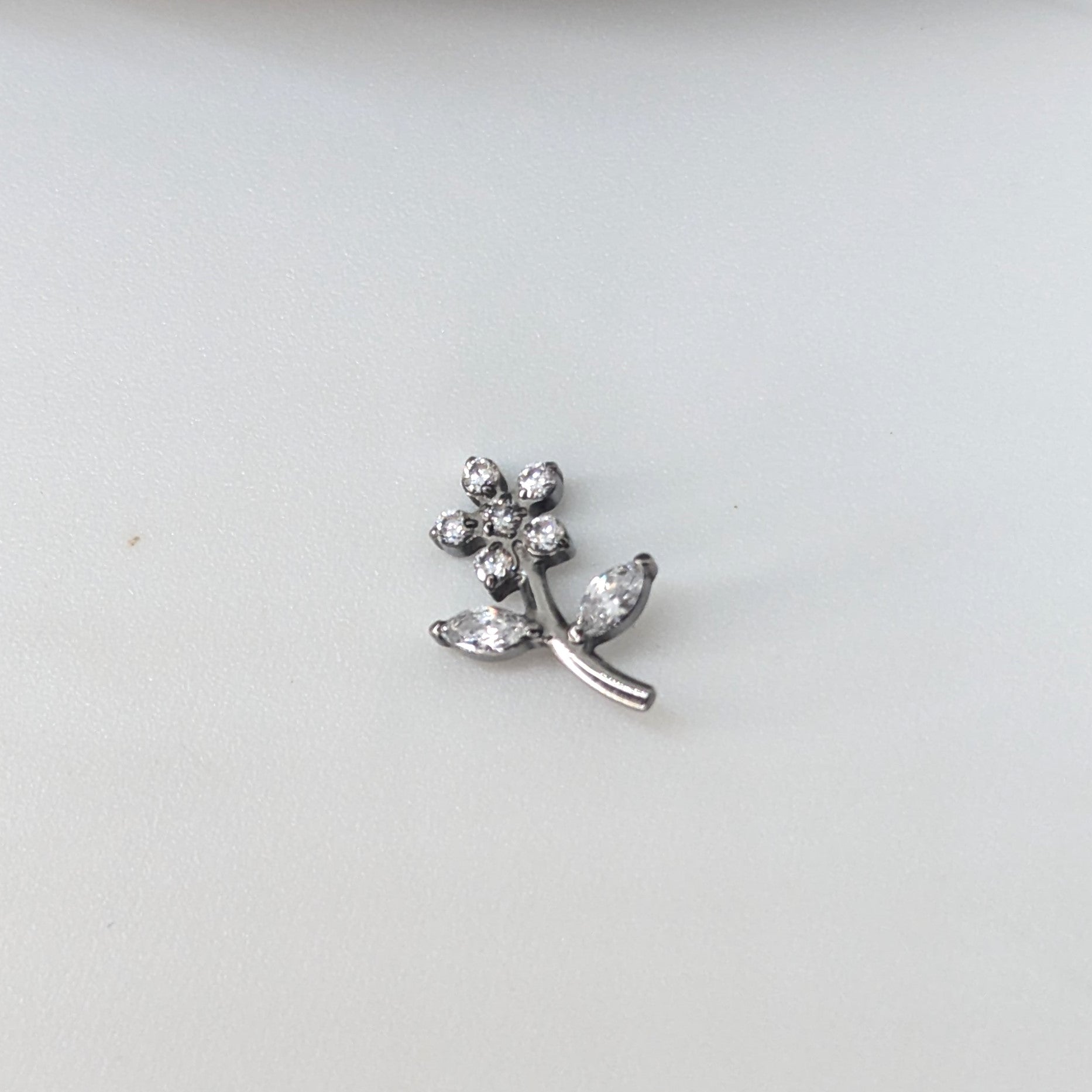 Daisy image 1