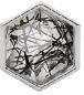 Tourmalated Quartz Exagon