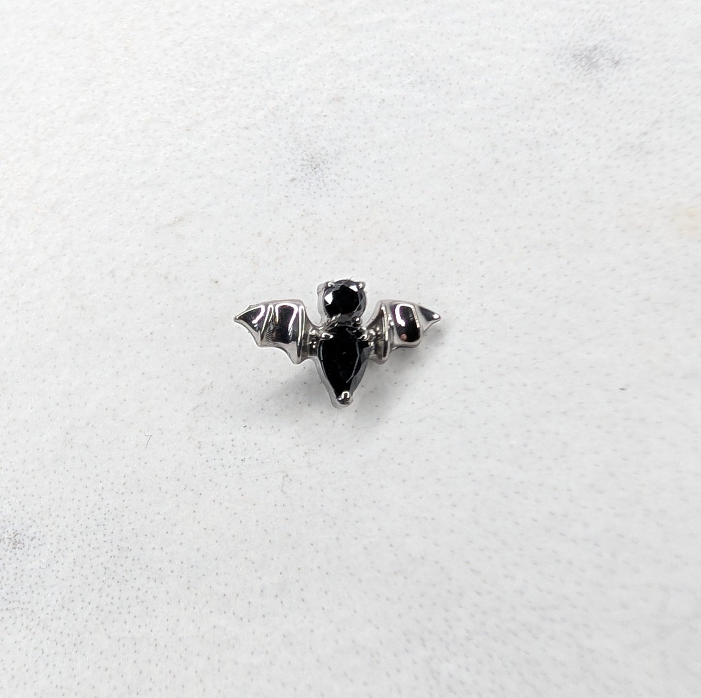 Black bat