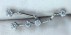 Constellation THREADLESS