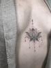 loto ornamentale